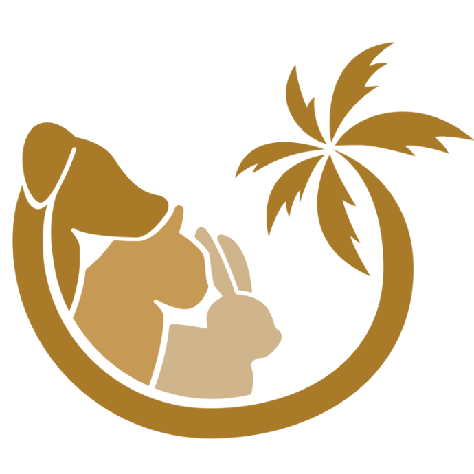 fabicon clinica vallalta